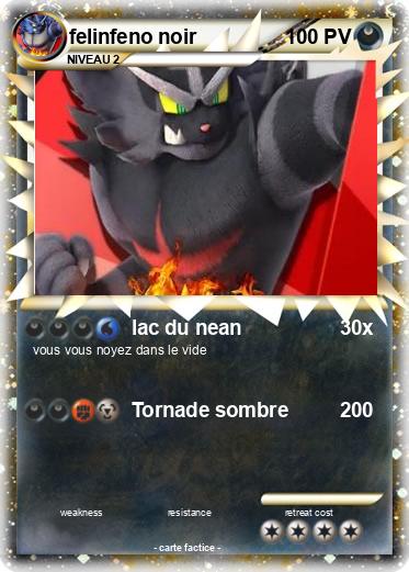 Pokemon felinfeno noir