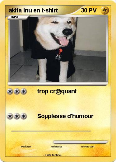 Pokemon akita inu en t-shirt