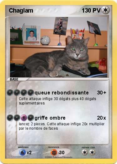 Pokemon Chaglam