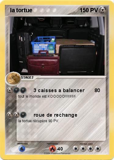 Pokemon  la tortue