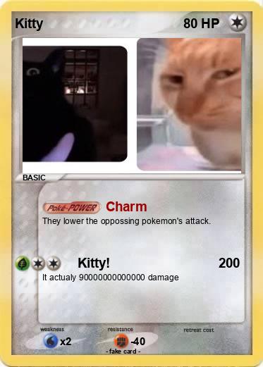 Pokemon Kitty