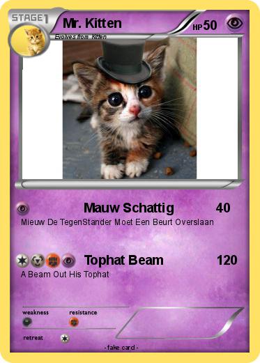 Pokemon Mr. Kitten