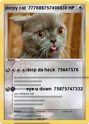 Pokemon derpy cat  7776887574986