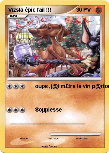 Pokemon Vizsla épic fail !!!