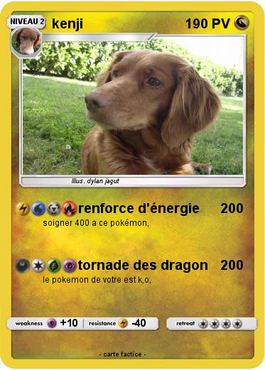 Pokemon kenji