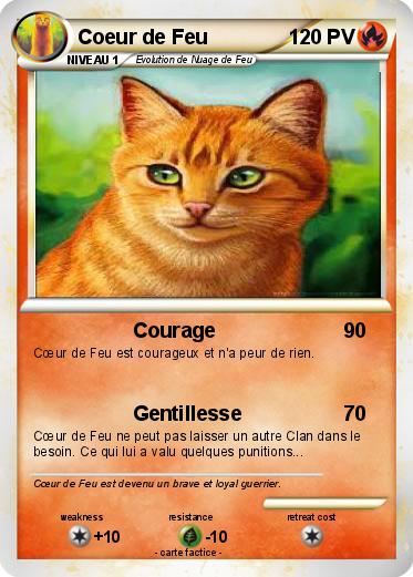 Pokemon Coeur de Feu