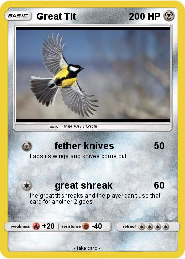Pokemon Great Tit