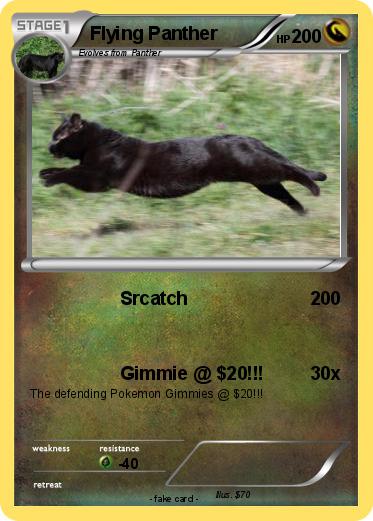 Pokemon Flying Panther