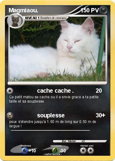 Pokemon Magmiaou.