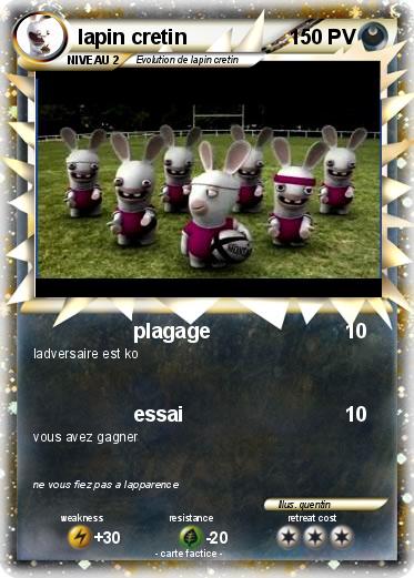 Pokemon lapin cretin