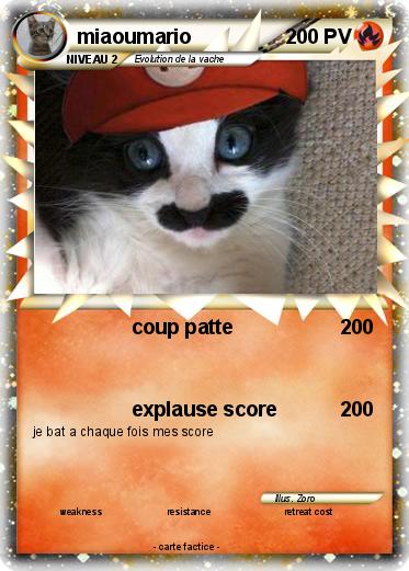 Pokemon miaoumario