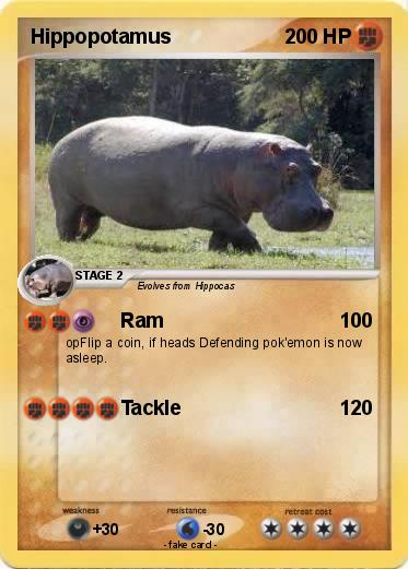 Pokemon Hippopotamus