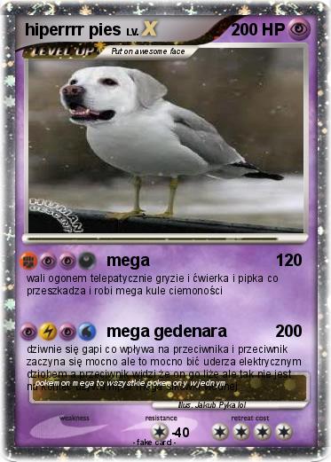 Pokemon hiperrrr pies