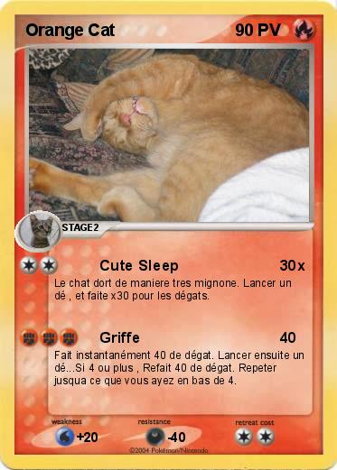 Pokemon Orange Cat