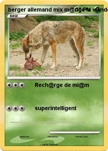 Pokemon berger allemand mix m@nge la viande