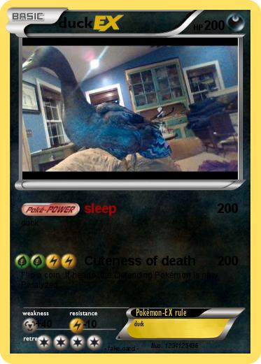 Pokemon duck