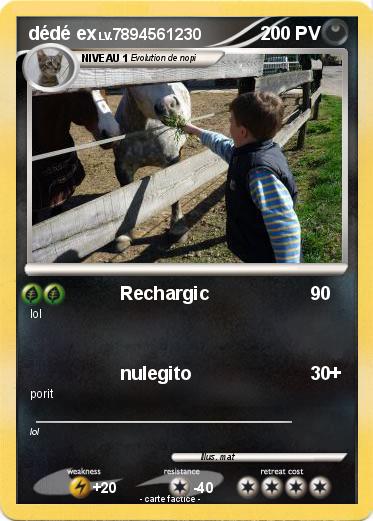 Pokemon dédé ex