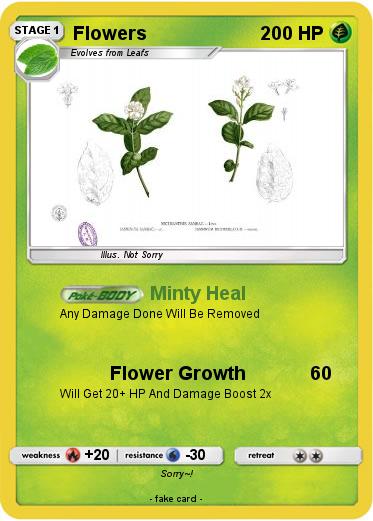 Pokemon Flowers