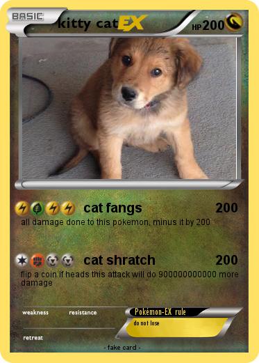 Pokemon kitty cat