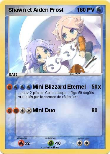 Pokemon Shawn et Aiden Frost