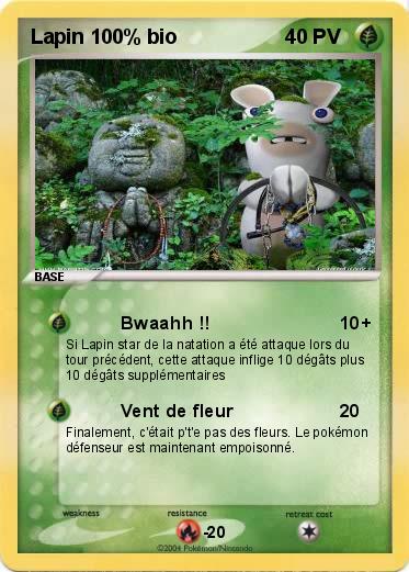 Pokemon Lapin 100% bio
