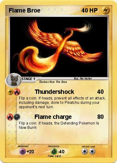 Pokemon Flame Broe