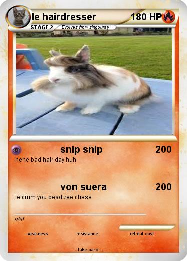 Pokemon le hairdresser