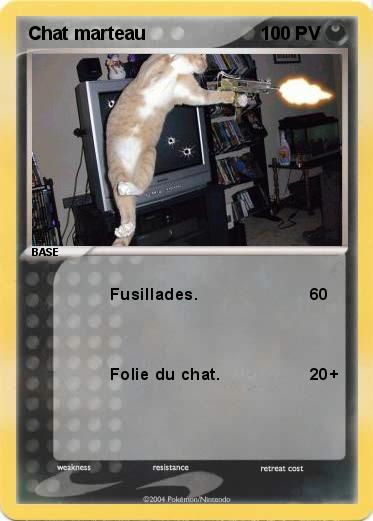 Pokemon Chat marteau