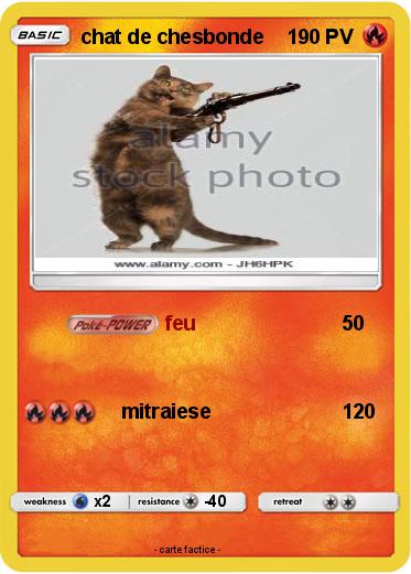Pokemon chat de chesbonde