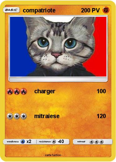 Pokemon compatriote