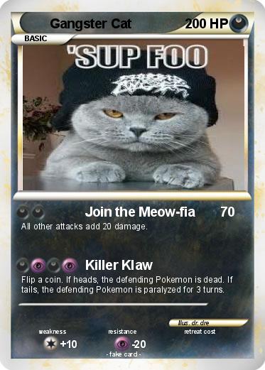 Pokemon Gangster Cat