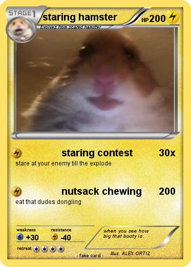 Pokemon staring hamster