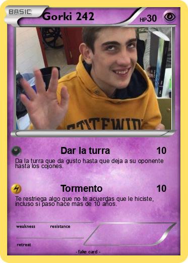 Pokemon Gorki 242