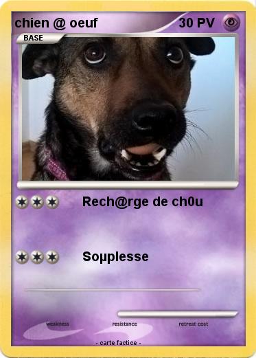 Pokemon chien @ oeuf