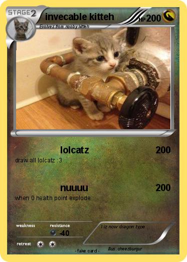 Pokemon invecable kitteh