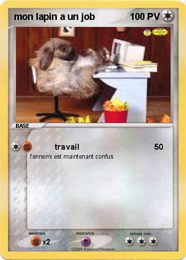 Pokemon mon lapin a un job