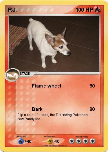 Pokemon P.J.