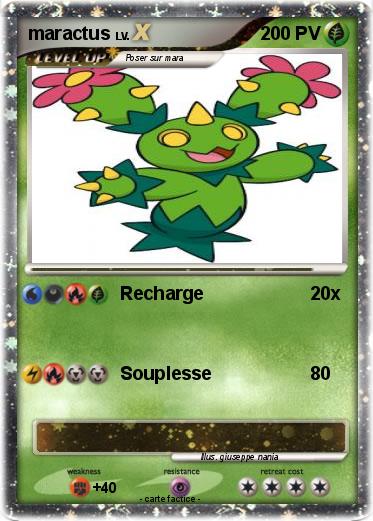 Pokemon maractus