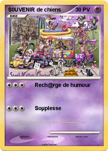 Pokemon S0UVENIR de chiens