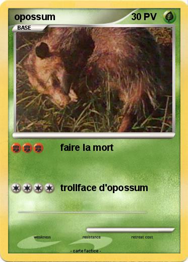Pokemon opossum