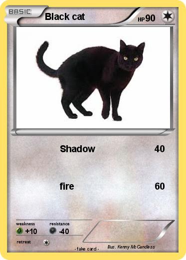 Pokemon Black cat