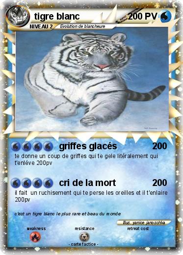 Pokemon tigre blanc