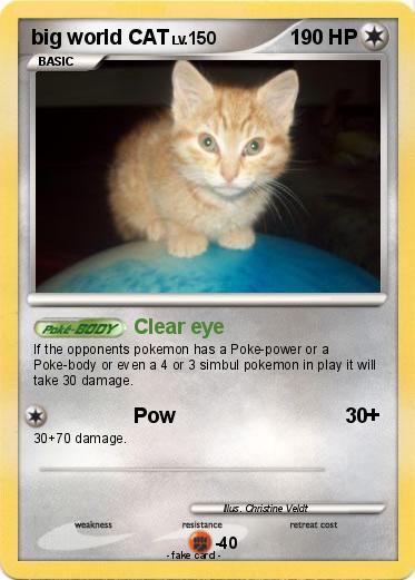 Pokemon big world CAT