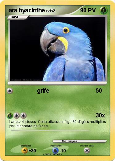 Pokemon ara hyacinthe