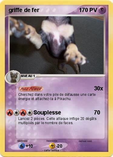 Pokemon griffe de fer