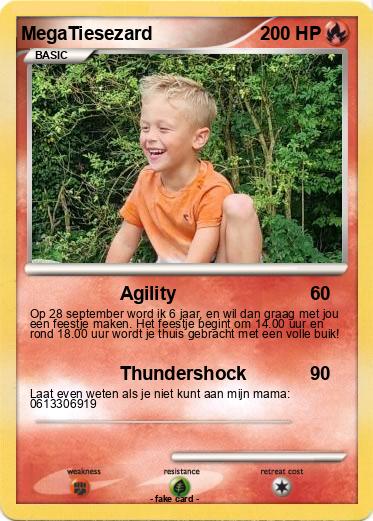Pokemon MegaTiesezard