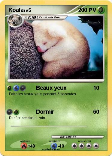 Pokemon Koala