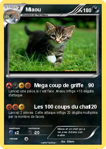 Pokemon Miaou