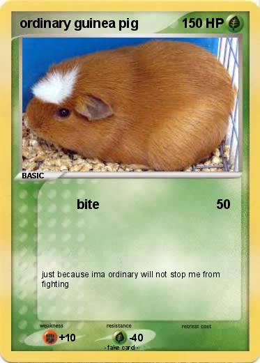 Pokemon ordinary guinea pig