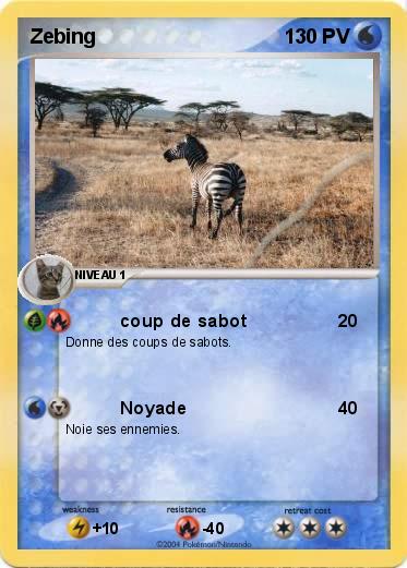 Pokemon Zebing